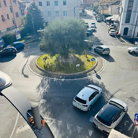 Anice E Cannella Palestrina